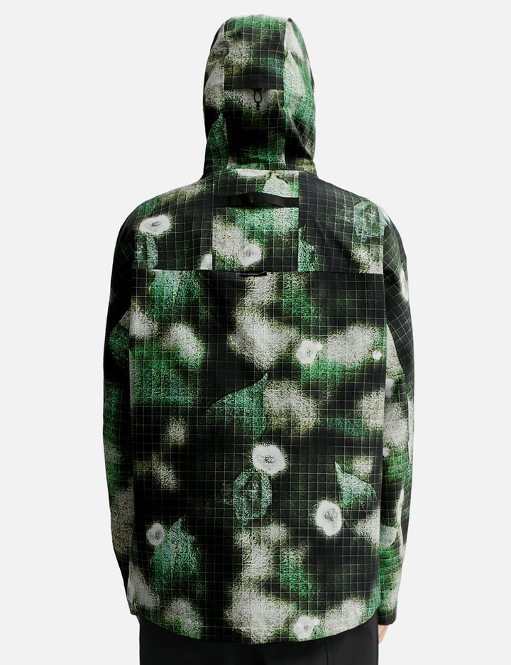 Purple Mountain Observatory 3l Hardshell In Green