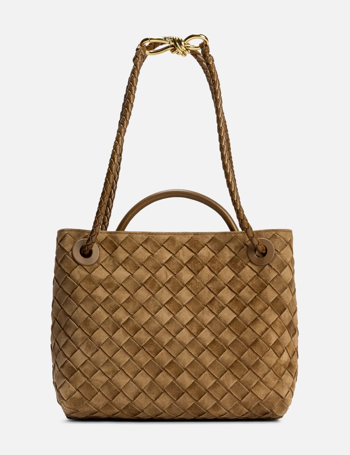 Bottega Veneta Small Andiamo
