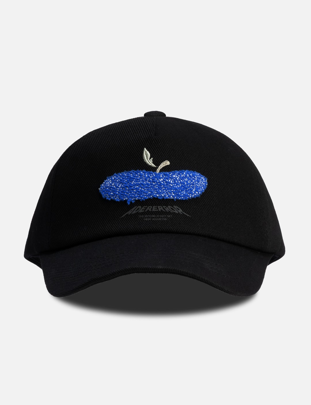 Apple Cap view 6