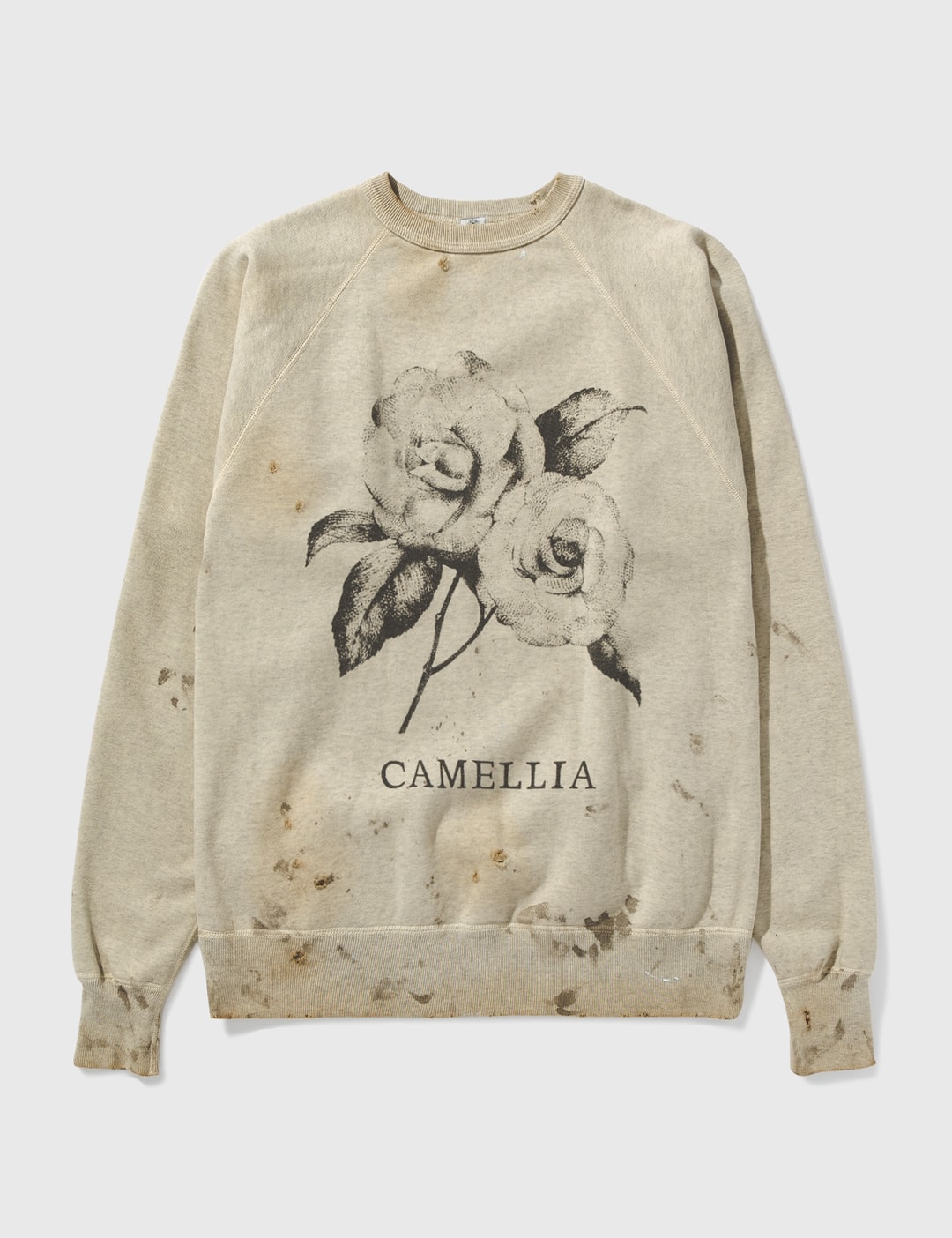 saint-michael-grey-camellia- 