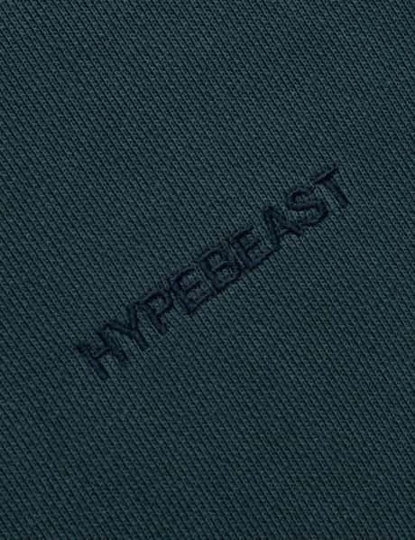 GARMENT DYED LOGO ZIP-UP HOODIE view 19