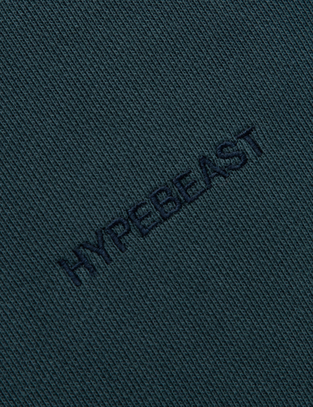 GARMENT DYED LOGO ZIP-UP HOODIE view 20