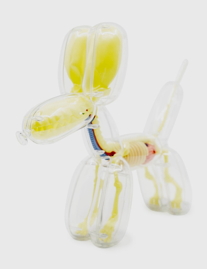 Glow In The Dark Balloon Dog Anatomy Placeholder Image