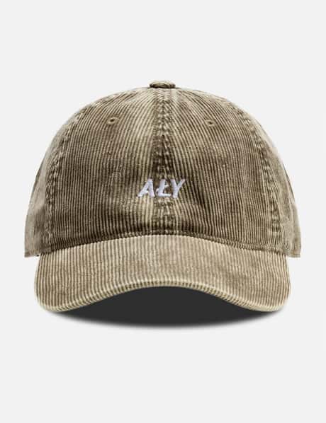 "Classic Logo Grey" Beanie view 13