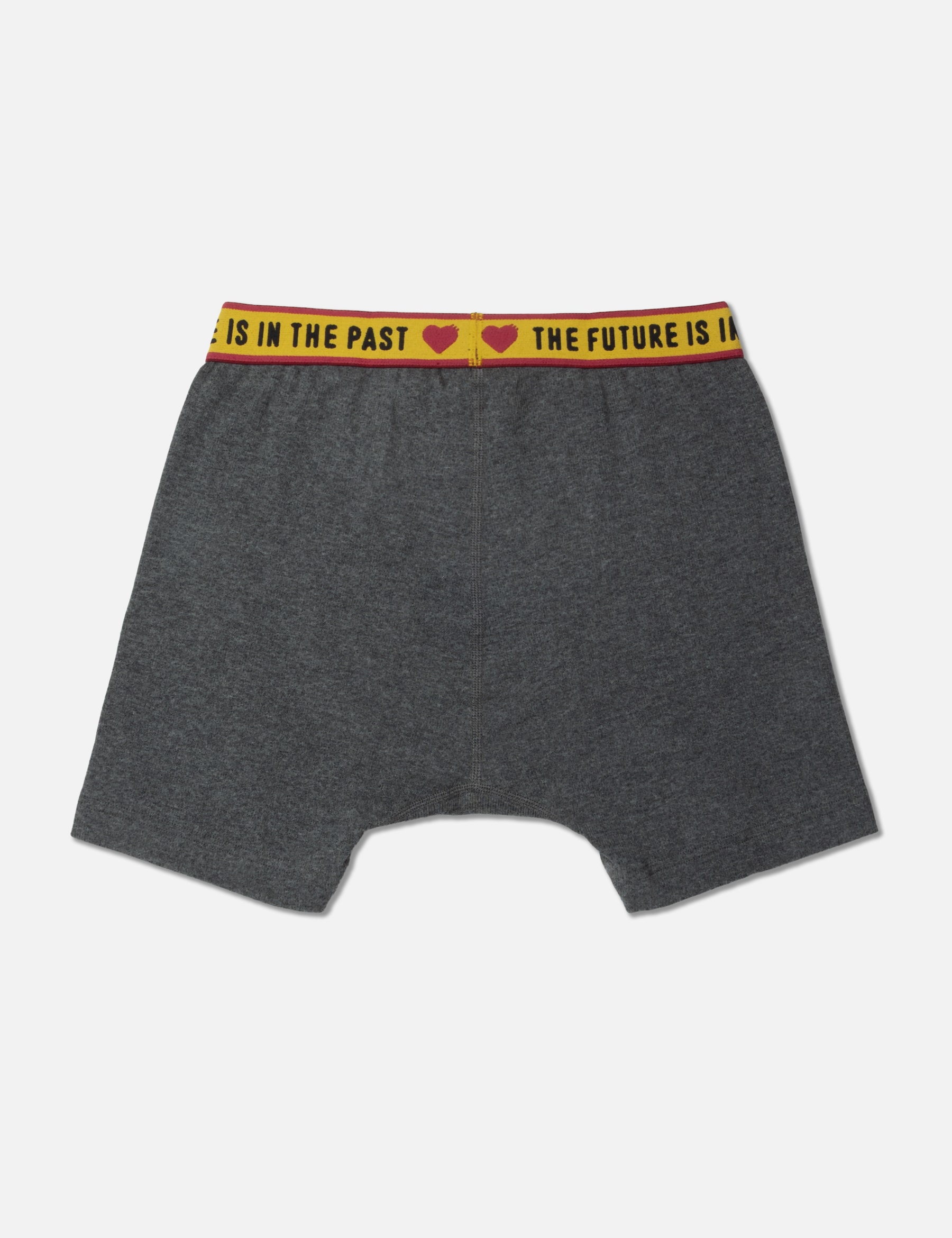 HM Boxer Brief view 8