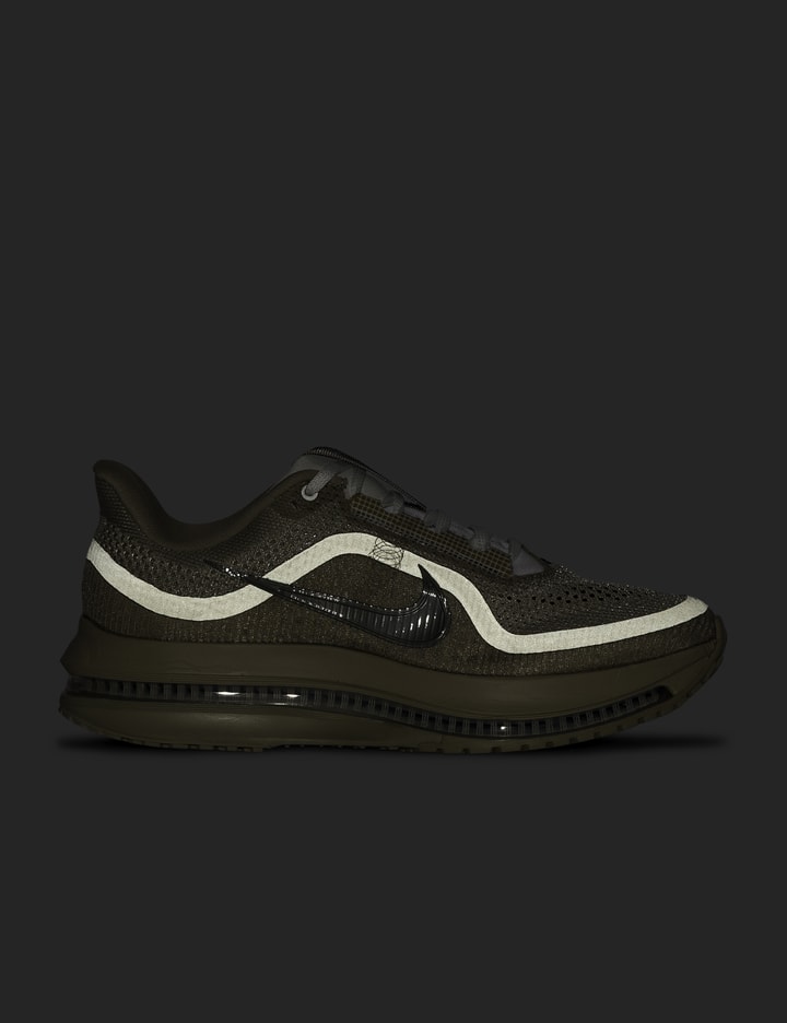 Pegasus Premium view 6