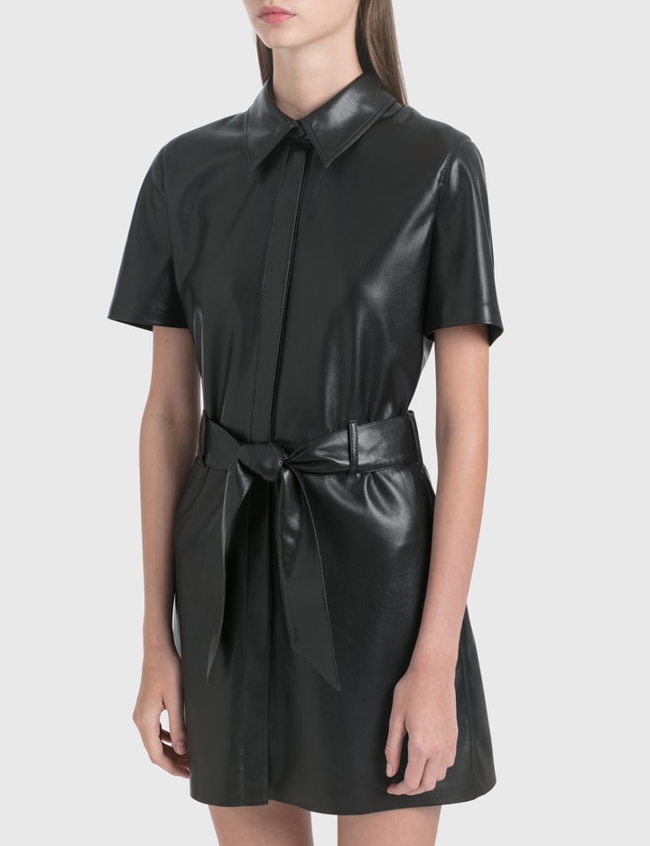 Halli Vegan Leather Mini Dress Placeholder Image
