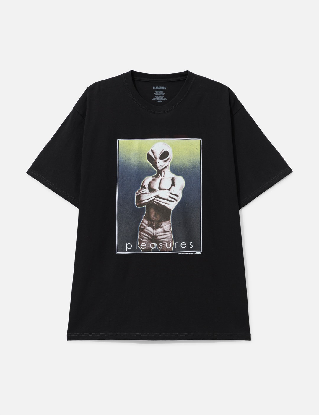 Yoked T-Shirt view 7