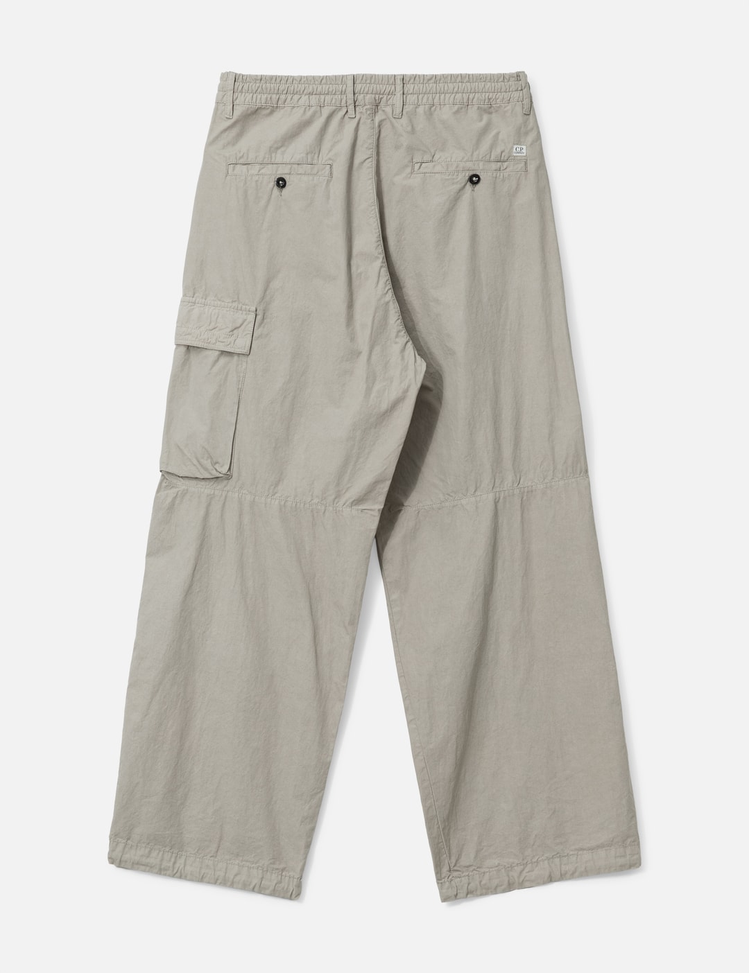 Pants Cargo Pant In Microreps view 9