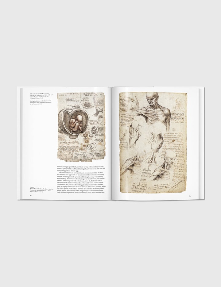 Leonardo Placeholder Image