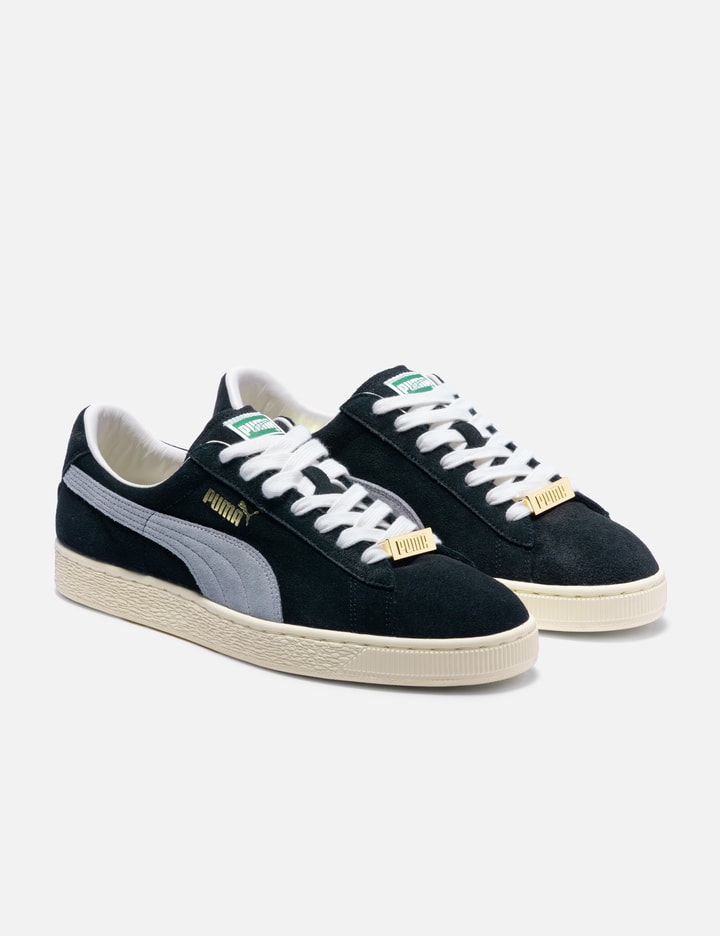 Puma view 4