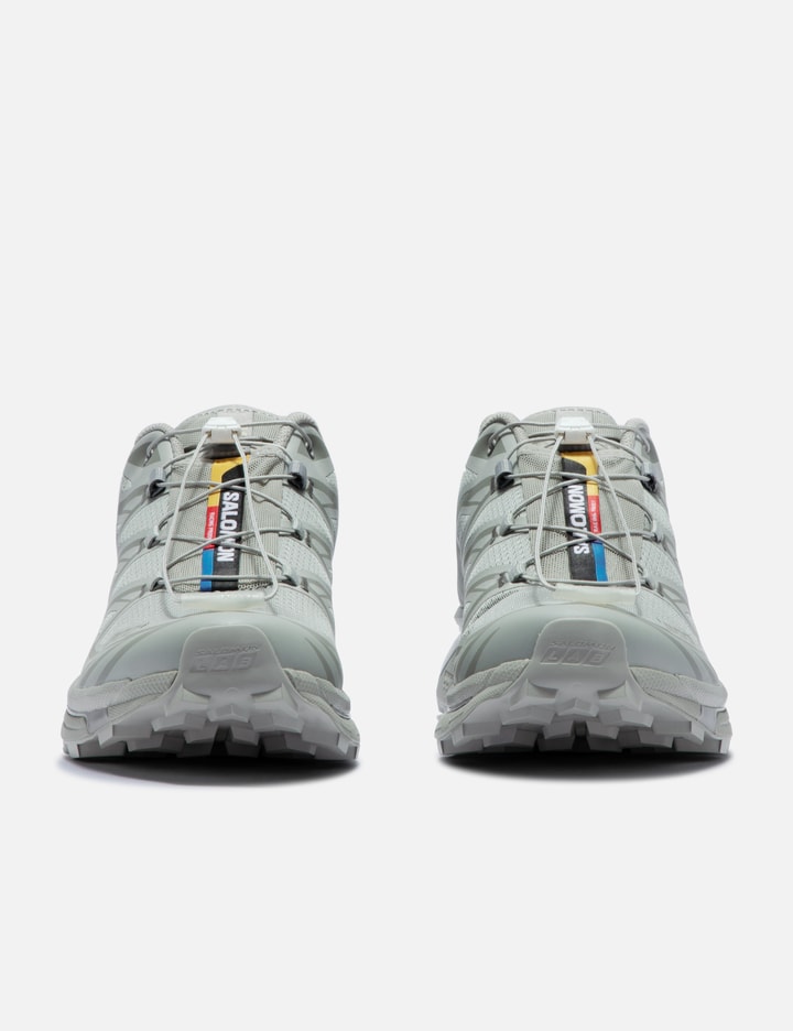 Salomon Advanced Xt-6 In Grey