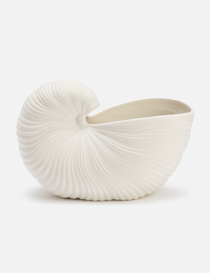 Shell Pot Placeholder Image
