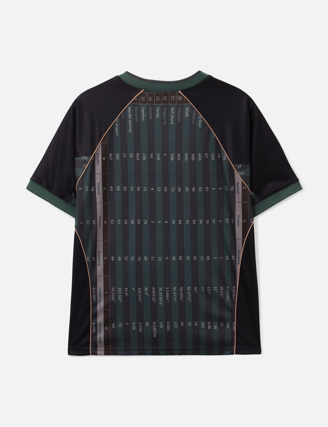 Q4 Jersey view 9