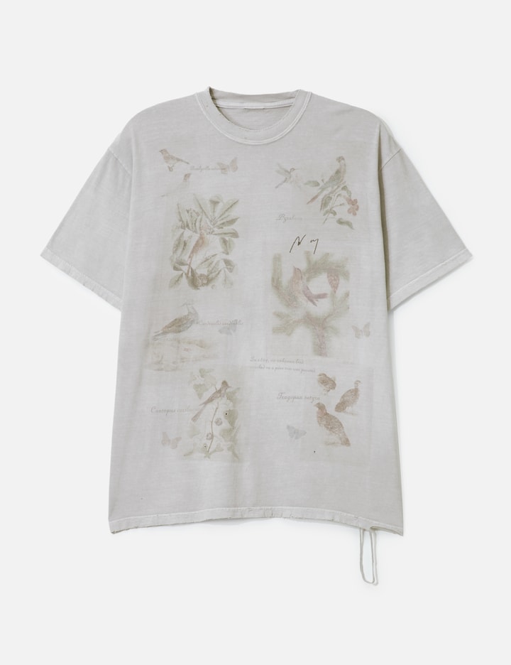 Ancellm Bird Encyclopedia T-shirt In Gray