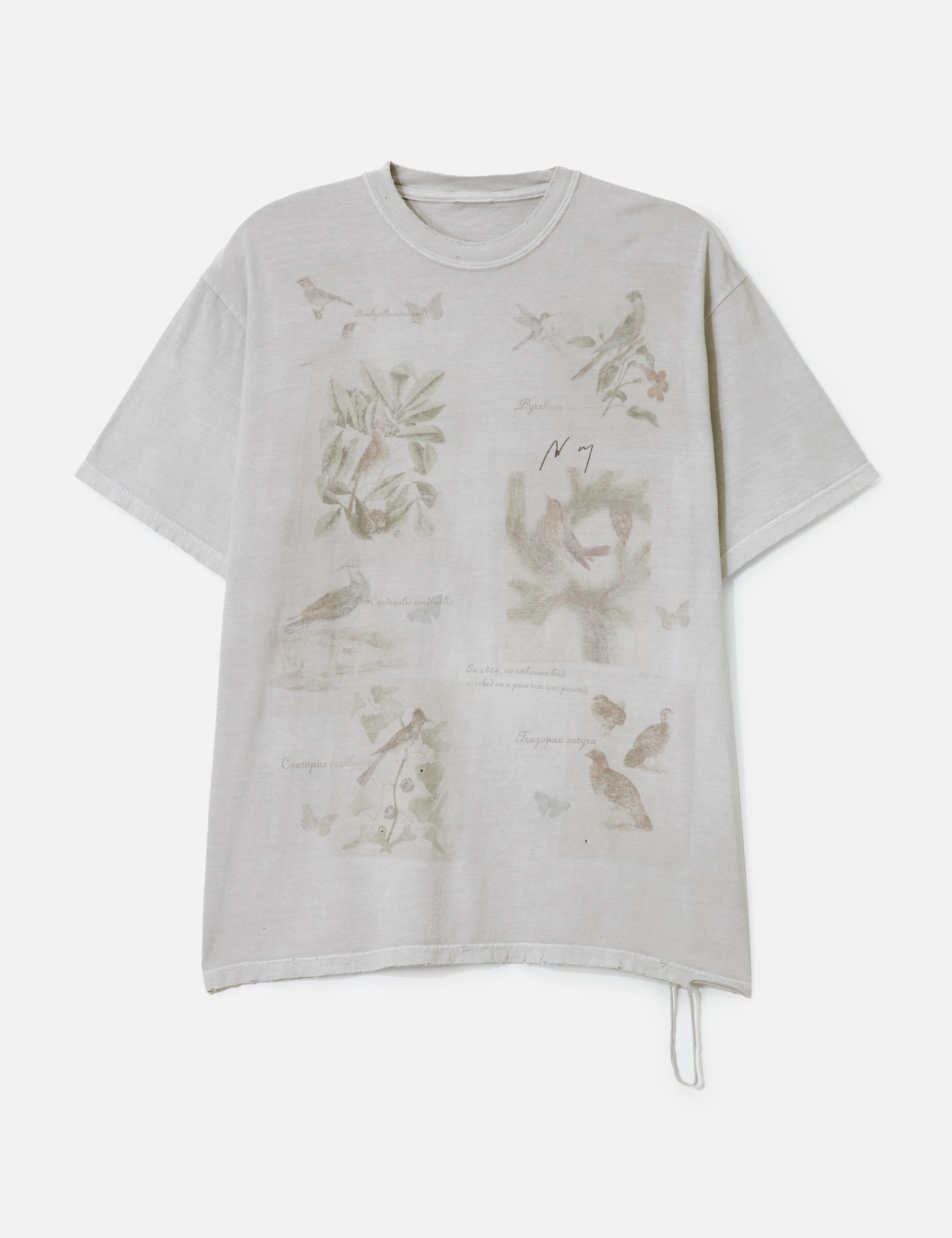 Bird Encyclopedia T-Shirt view 16