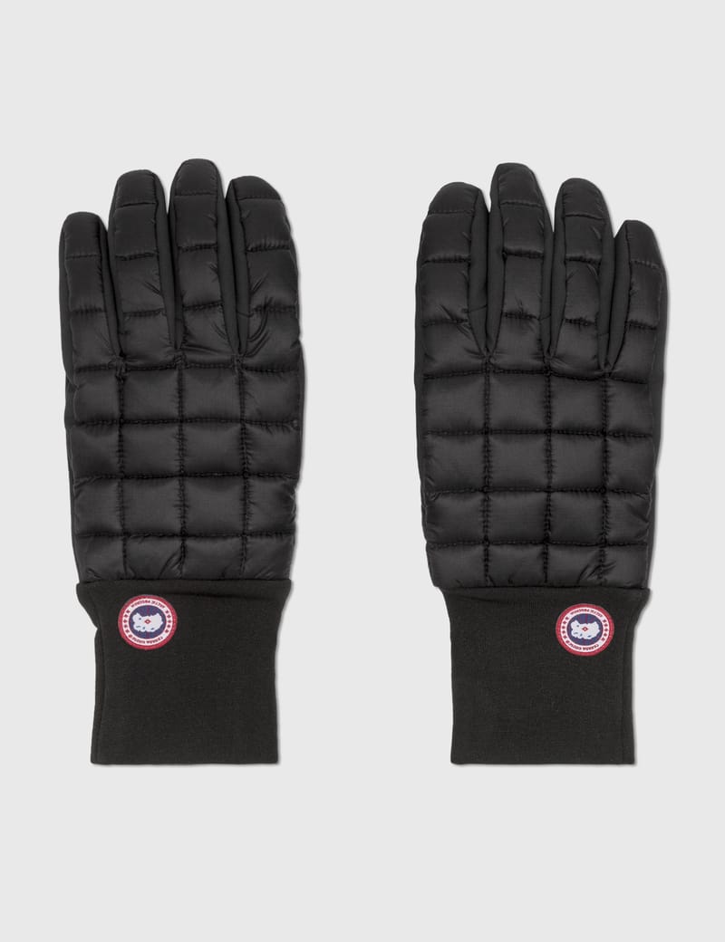 northern glove liners