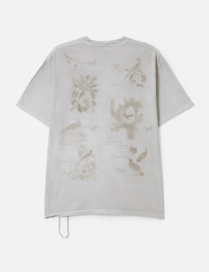 Ancellm Bird Encyclopedia T-shirt In Gray