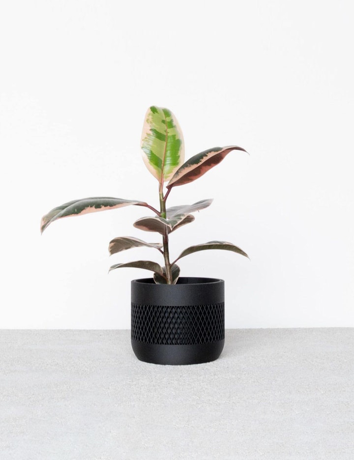 Set Of 2 - MAT Placeholder Image