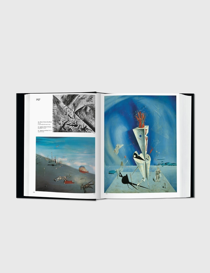 Dalí. The Paintings Placeholder Image