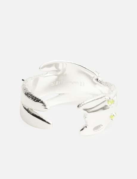 Transformed Bear Ring view 6
