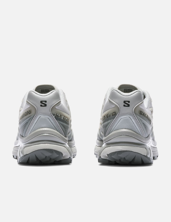 Salomon Advanced XT-EVO