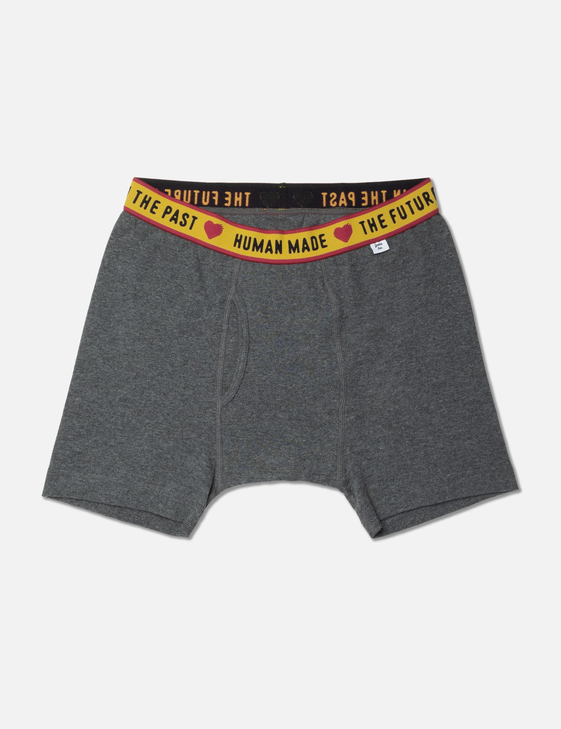HM Boxer Brief view 7