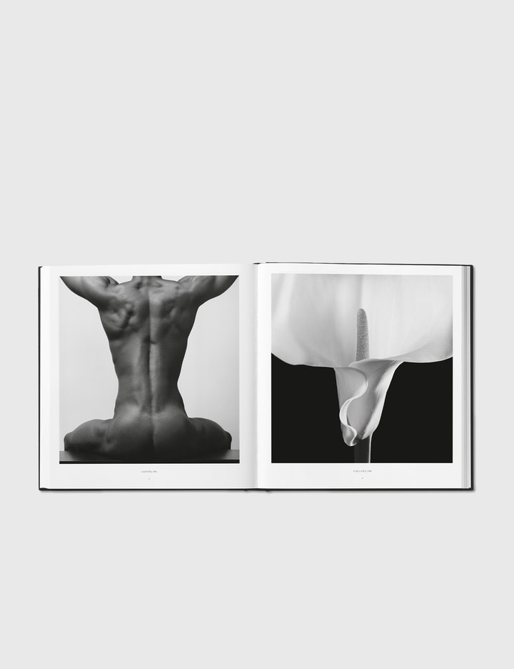Robert Mapplethorpe Placeholder Image
