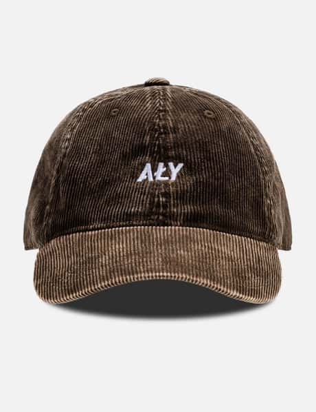 "Classic Logo Grey" Beanie view 15
