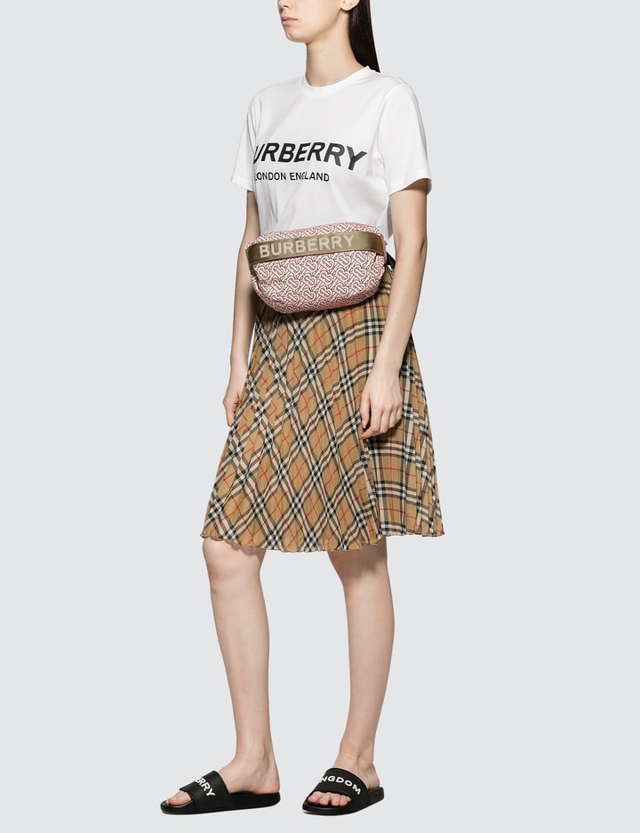 Medium Monogram Print Bum Bag Placeholder Image