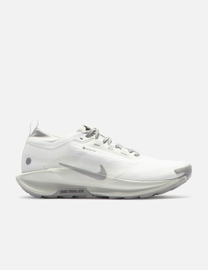 Pegasus Trail 5 GORE-TEX SP Placeholder Image