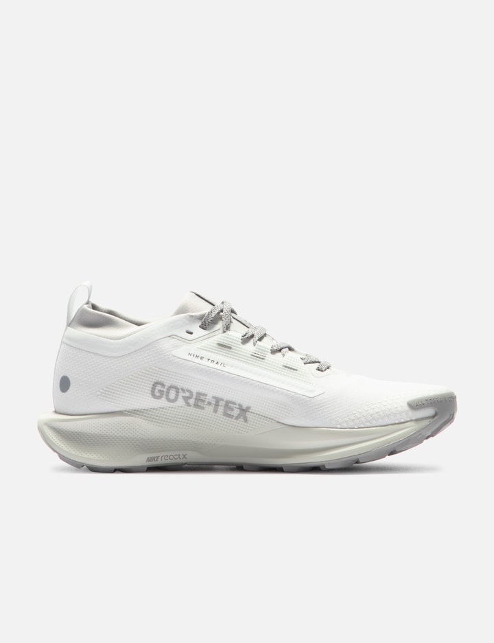Pegasus Trail 5 GORE-TEX SP Placeholder Image