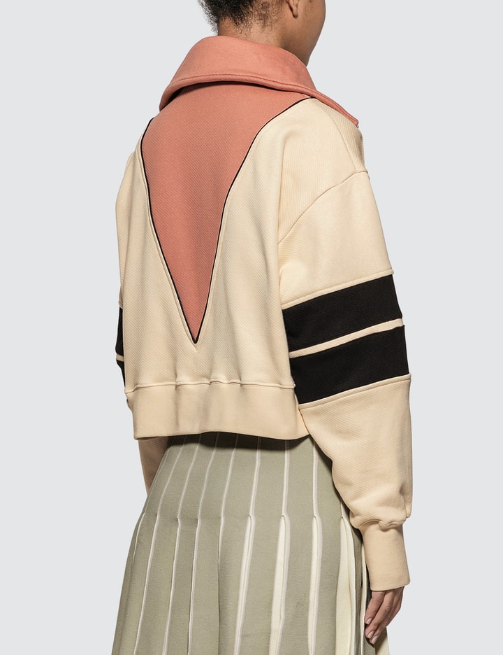 Intarsia Crop Sweatshirt Placeholder Image