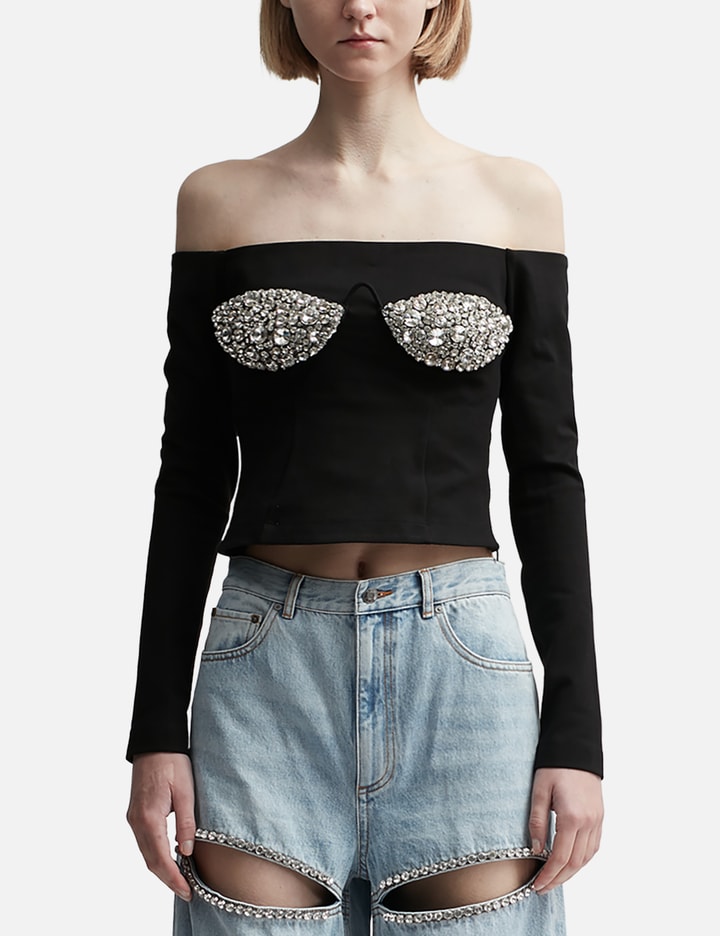 Area Embroidered Crystal Cup Long Sleeve Top In Black