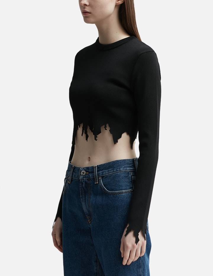 Lasercut Long Sleeves Crop Top Placeholder Image