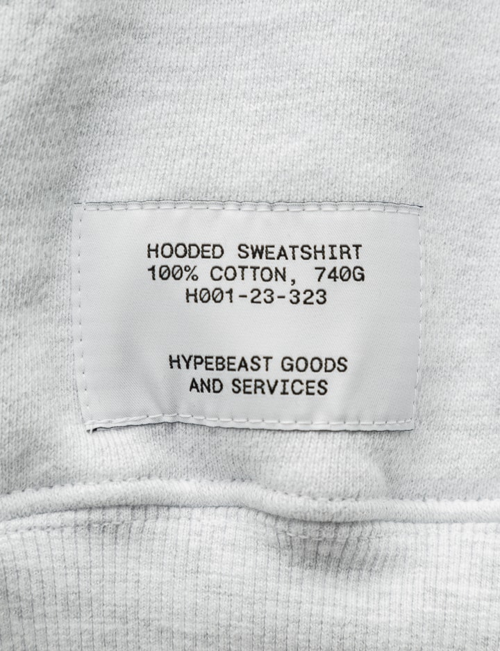 Hypebeast Goods And Services Hooded Sweatshirt In Grey