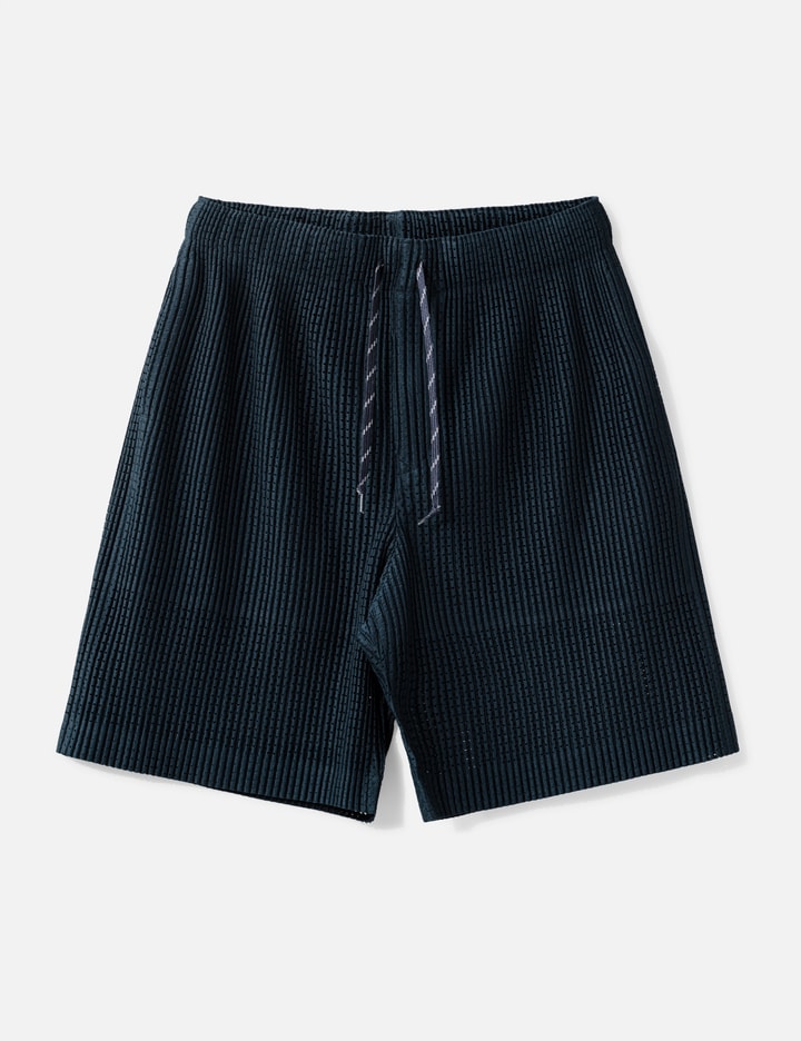 Homme Plissé Issey Miyake Mesh Shorts