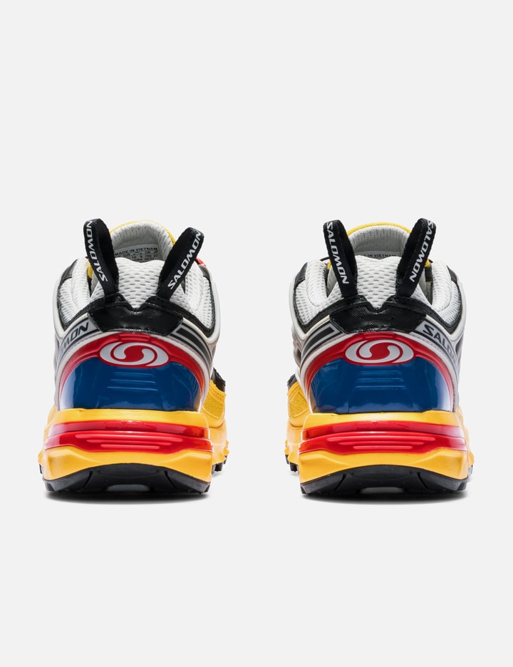 ACS Pro view 3
