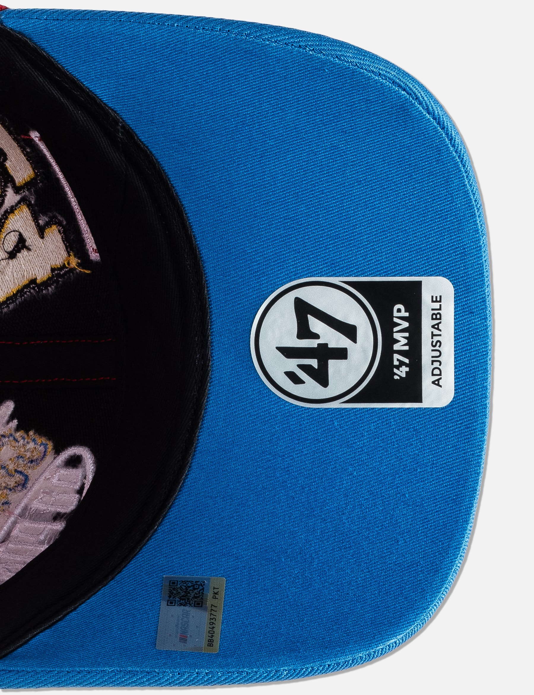 X NASCAR Jeff Gordon Cap view 20