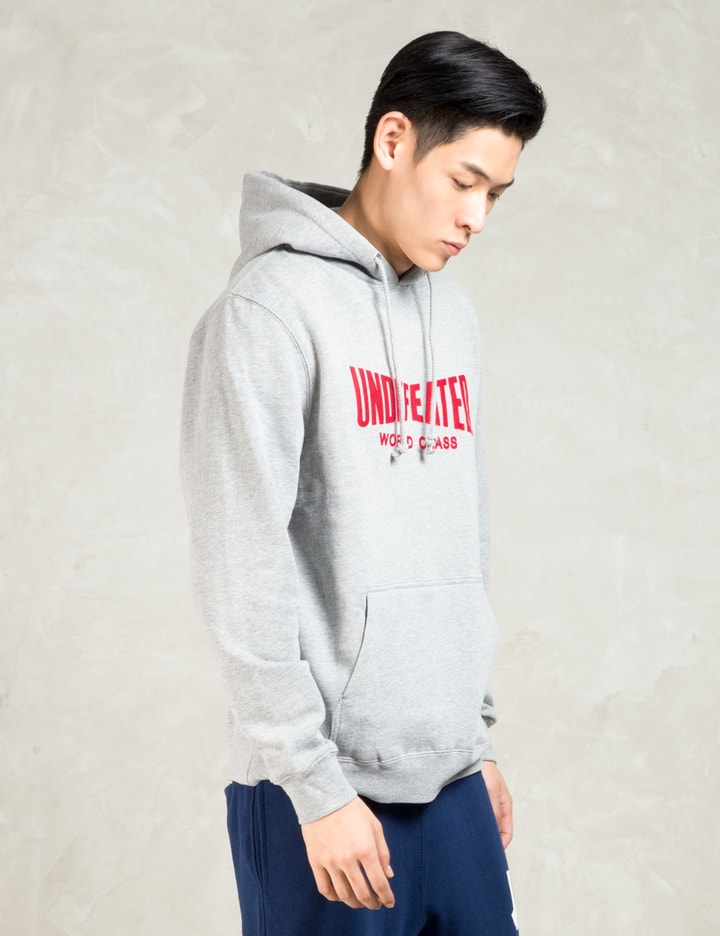 Grey World Class Hoodie Placeholder Image