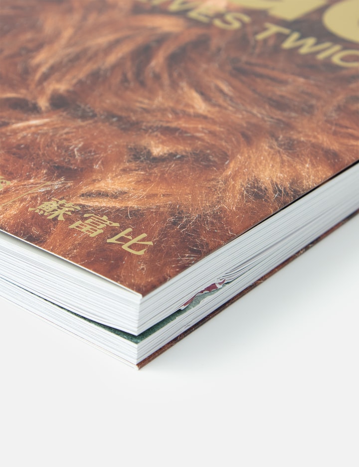 Sotheby's NIGO® Only Lives Twice” Catalog (Signed Edition) Placeholder Image