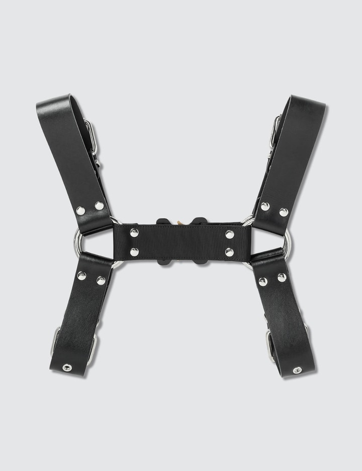 Chest Harness Placeholder Image