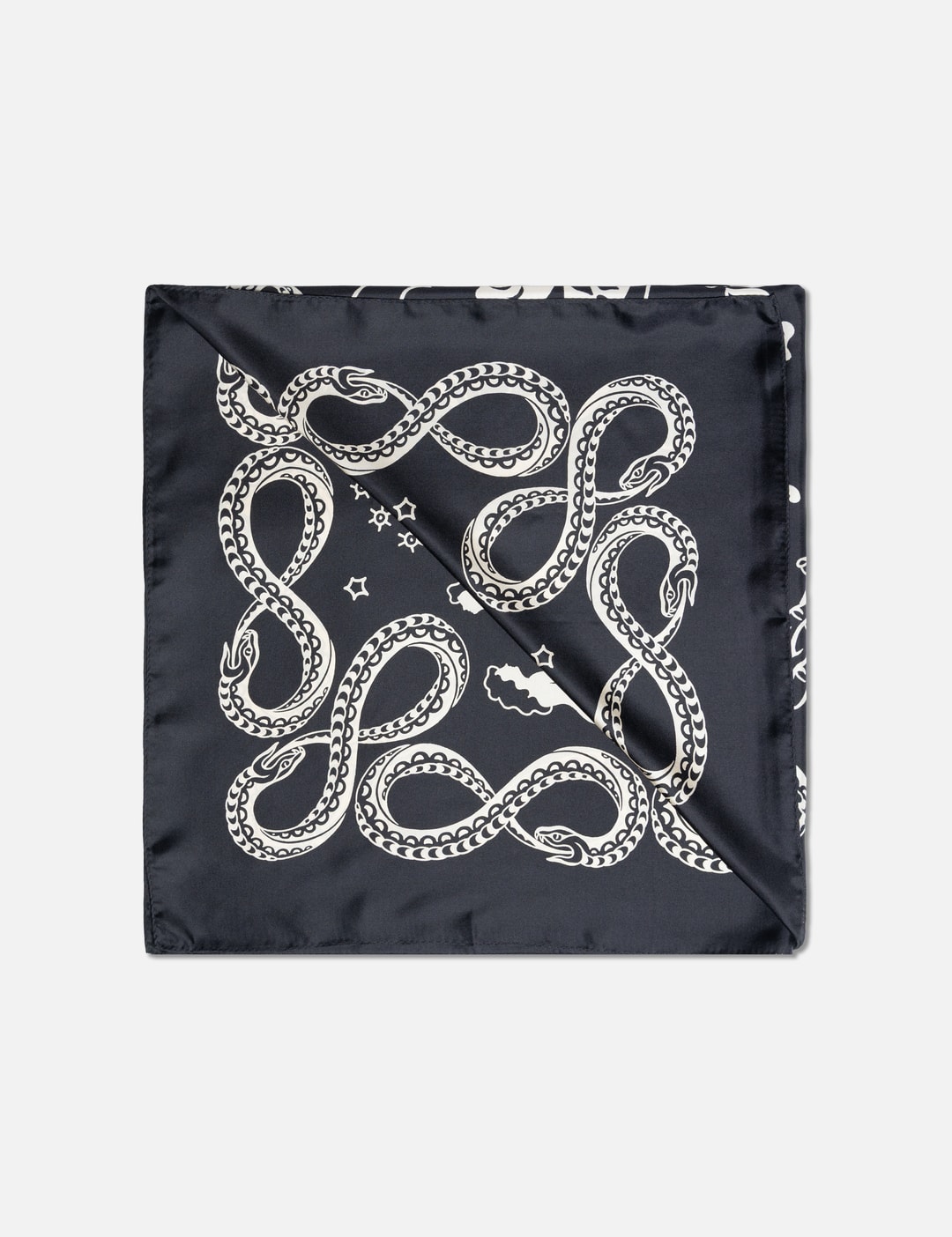 Silk Scarf view 6