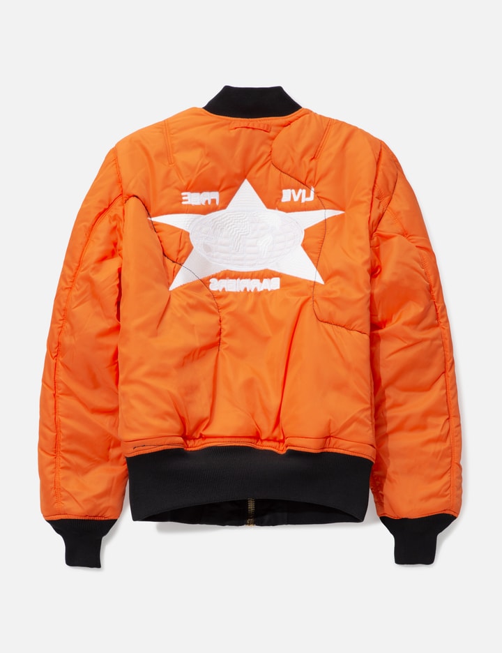 Repurposed MA-65 Bomber Placeholder Image