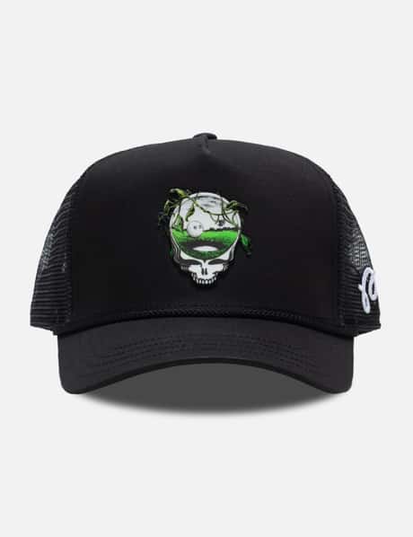 Crest Dad Hat view 17