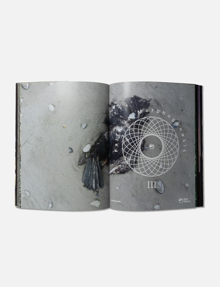 Timur Si-qin / A New Protocol Placeholder Image