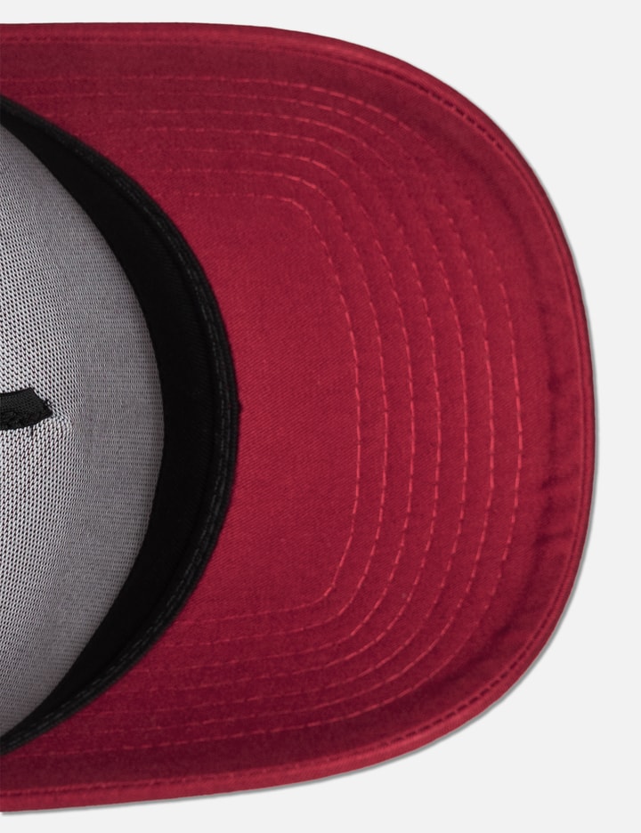 Born x Raised Paranoia Crest Snapback
