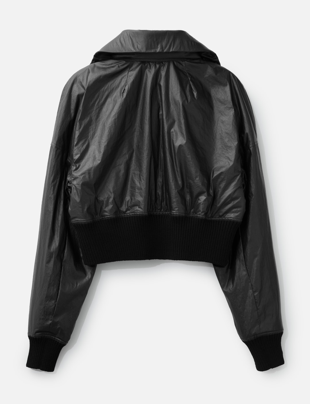 Dracucollar Cropped Jacket view 10