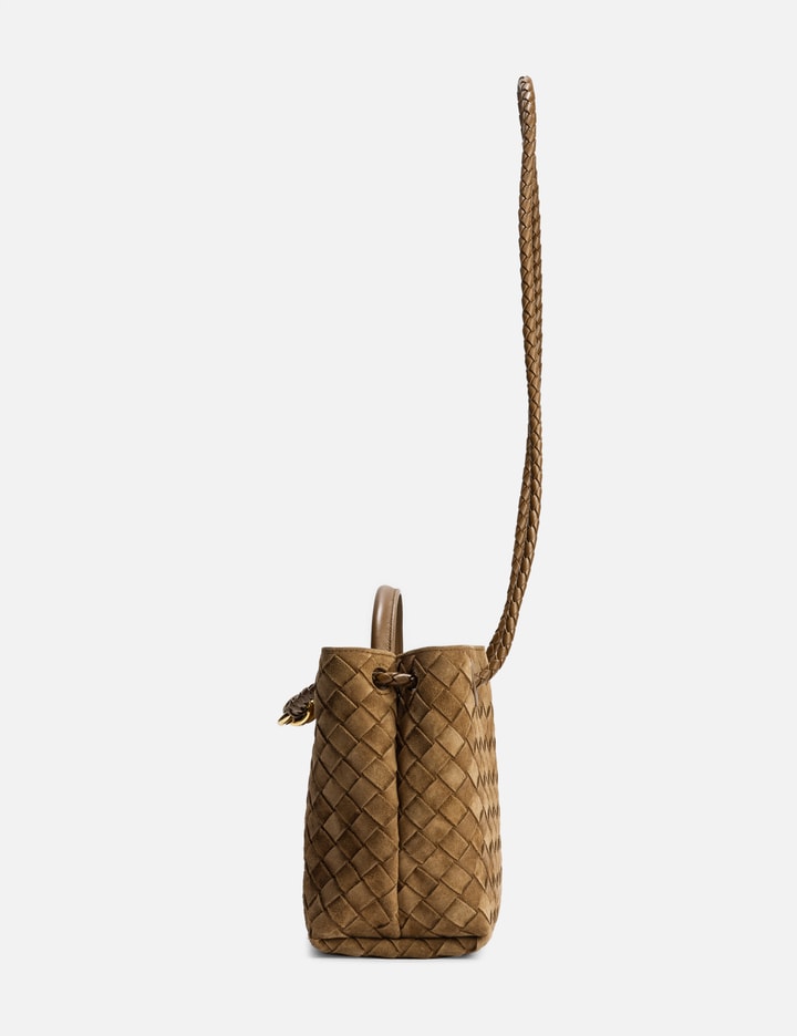Bottega Veneta Small Andiamo