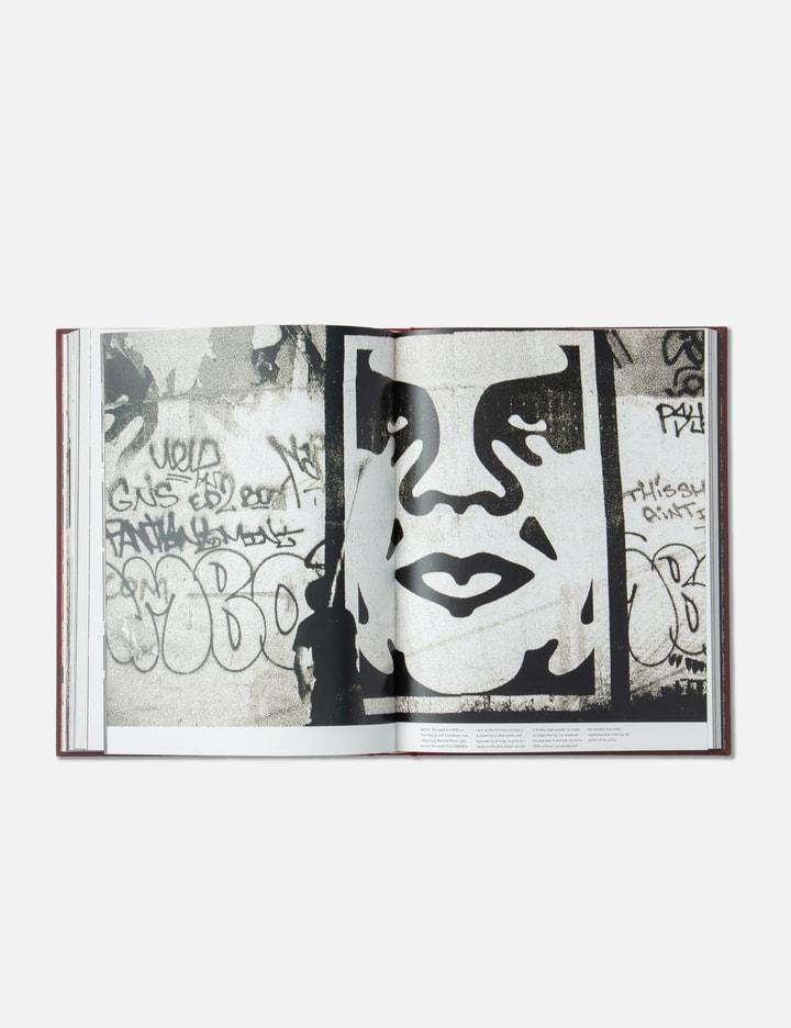 Supply And Demand: The Art Of Shepard Fairey (Original Edition) Placeholder Image